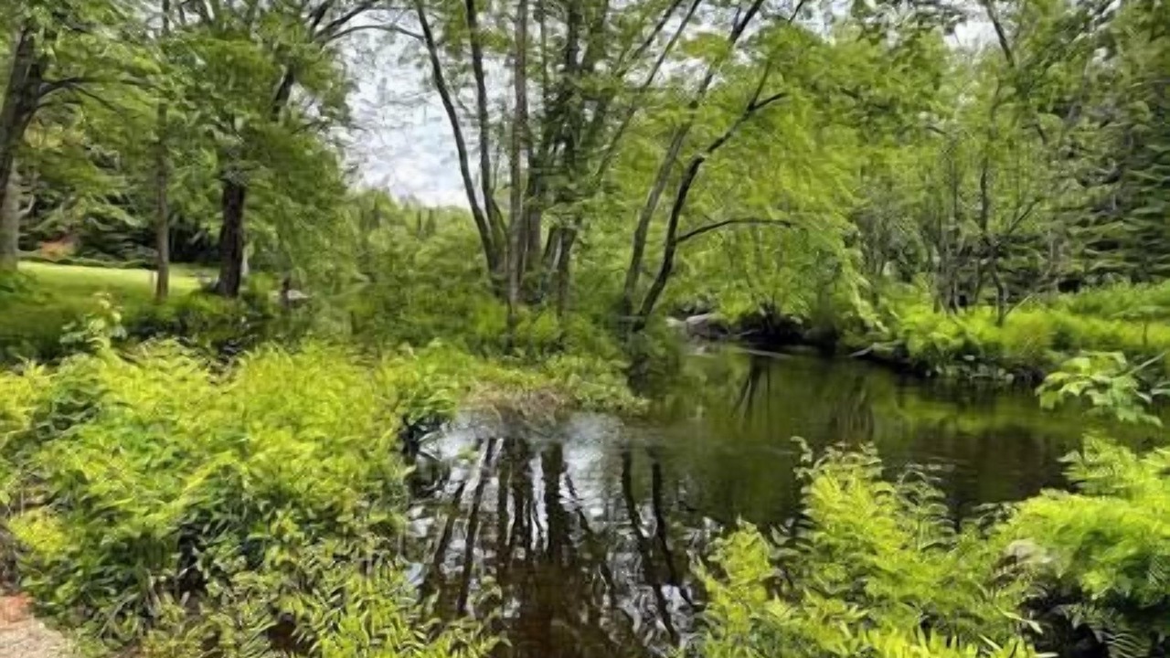 Photo of Others in Kawartha Lakes