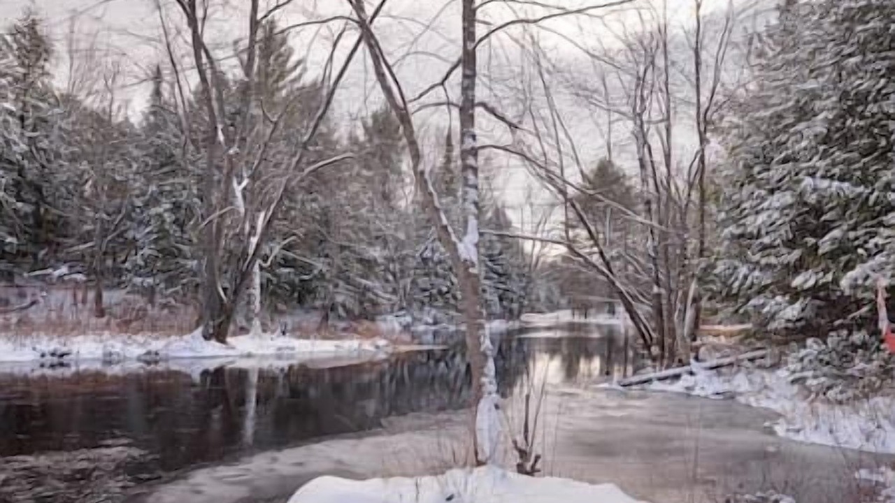 Photo of Others in Kawartha Lakes