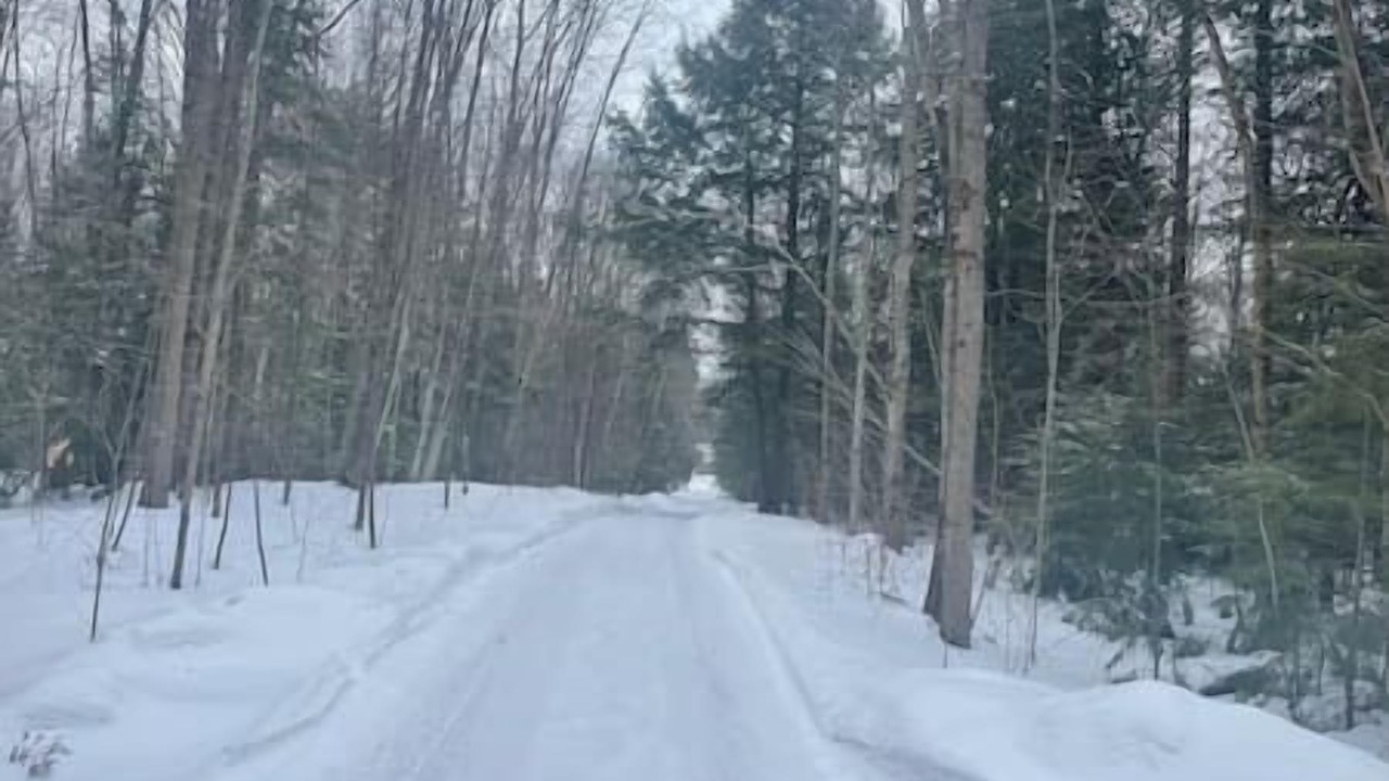 Photo of Others in Kawartha Lakes