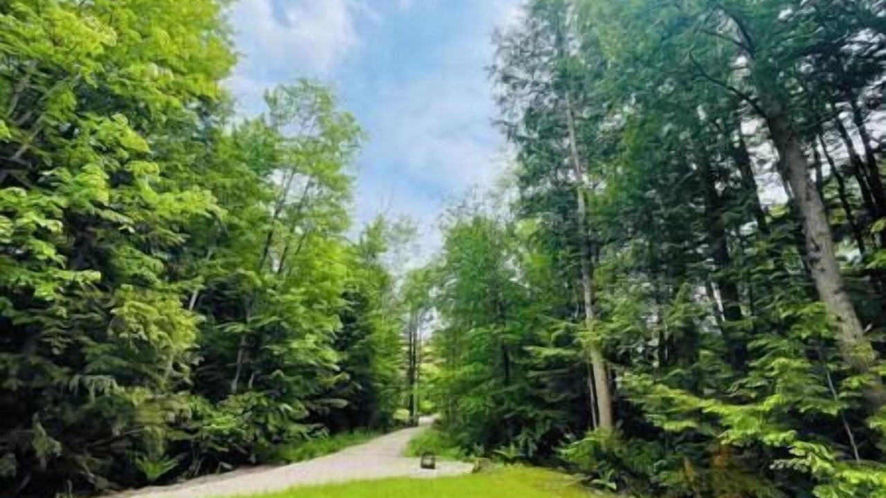 Photo of Others in Kawartha Lakes