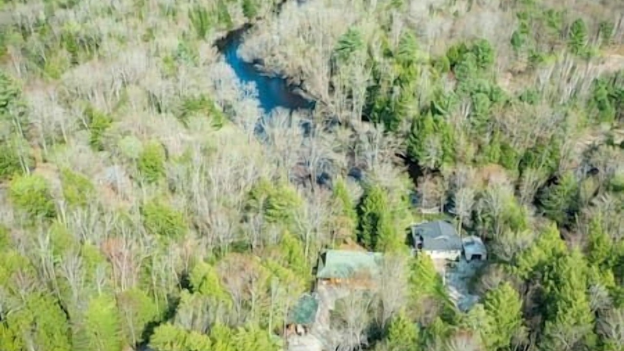 Photo of Outdoor in Sebright