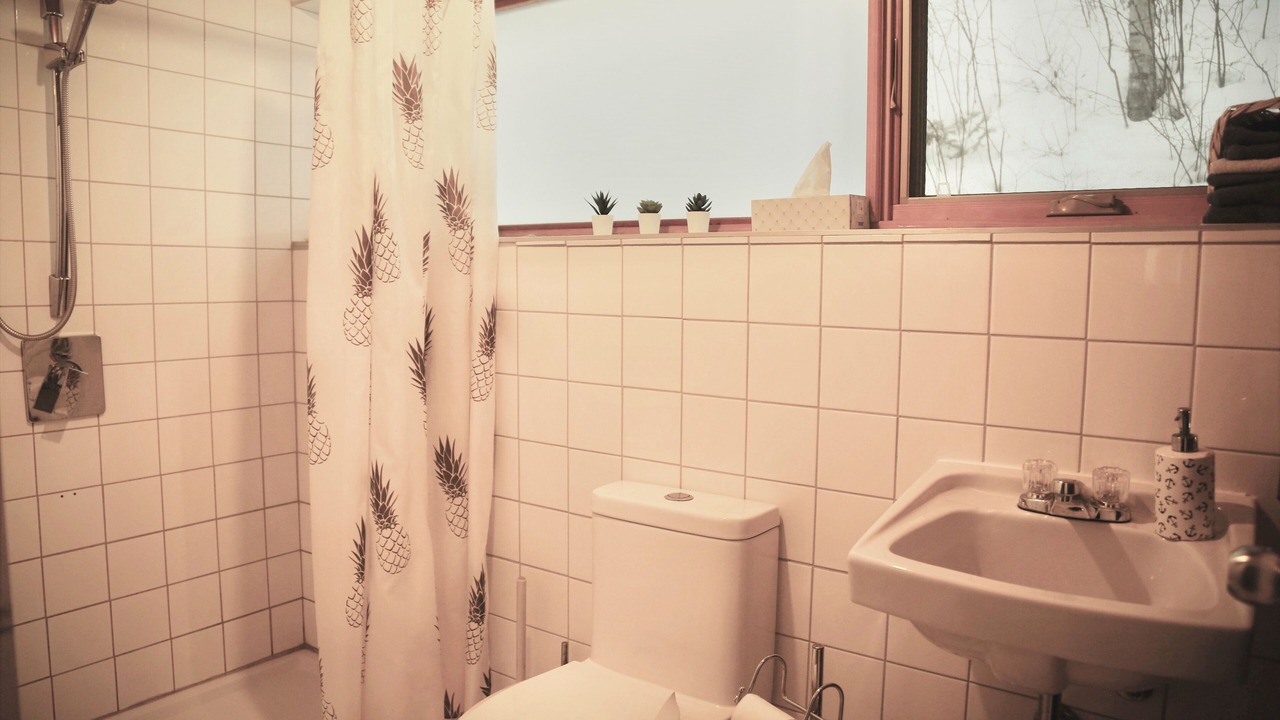 Photo of Bathroom in La Bostonnais