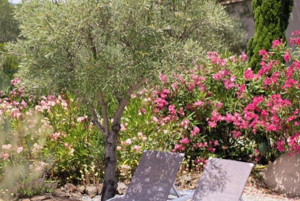 Photo of Outdoor in Prades-sur-Vernazobre