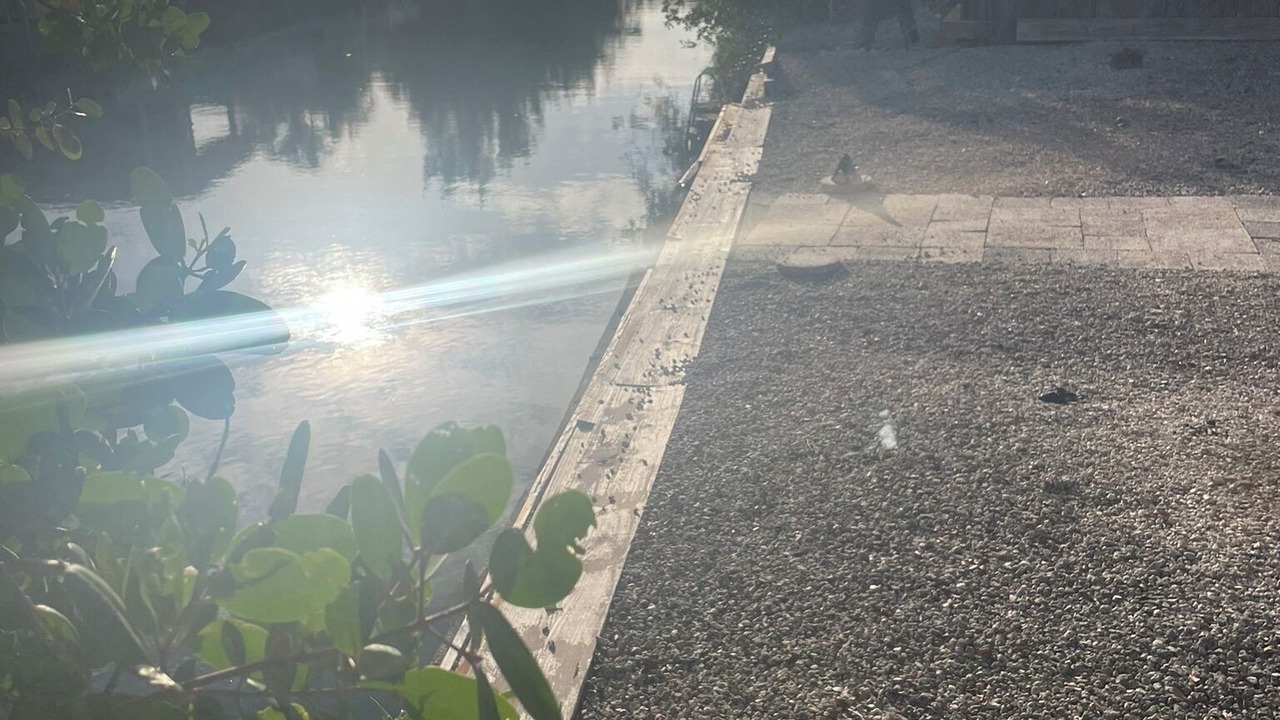 Photo of Outdoor in Little Torch Key