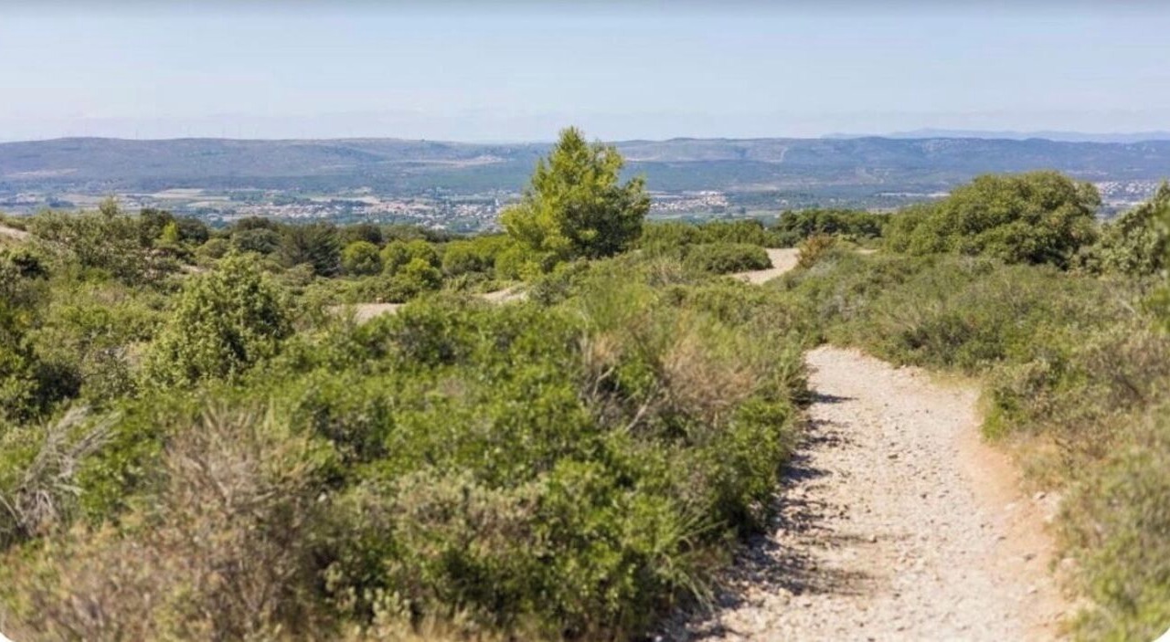 Photo of Others in Gigean