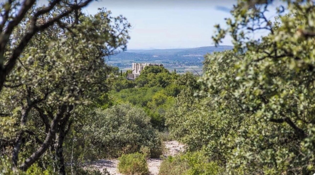 Photo of Others in Gigean