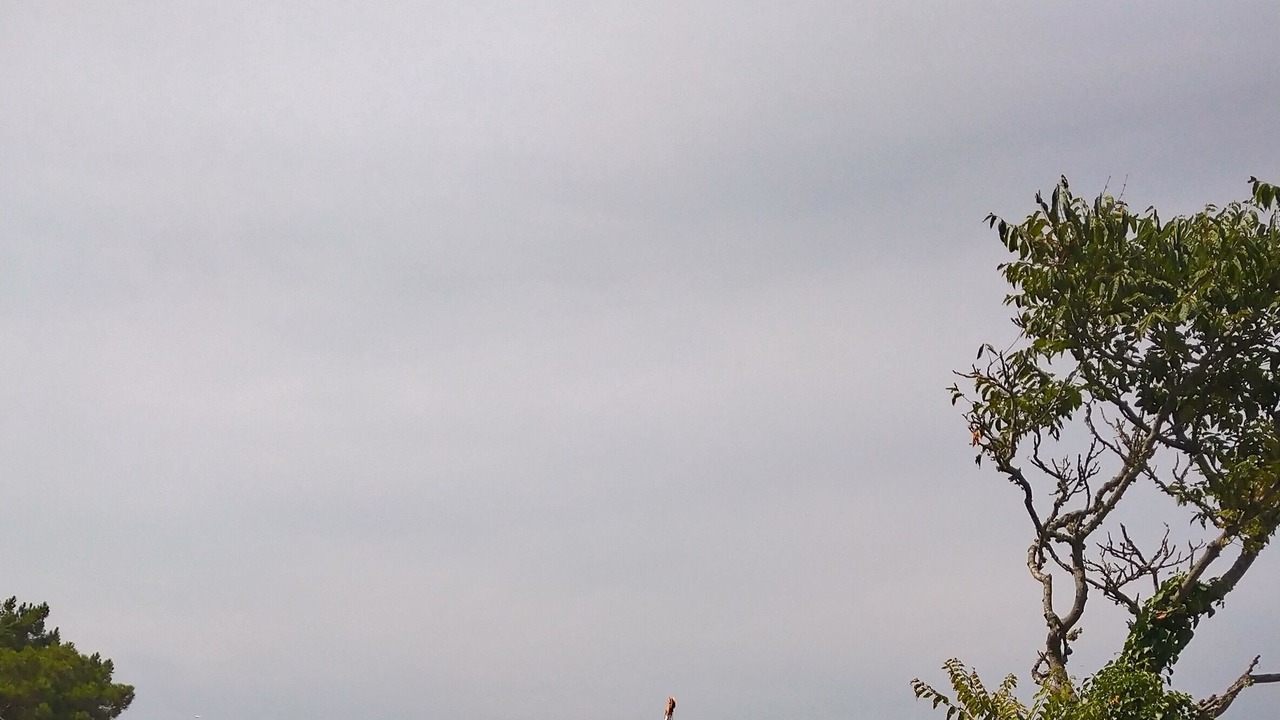 Photo of Others in Le Fenouiller