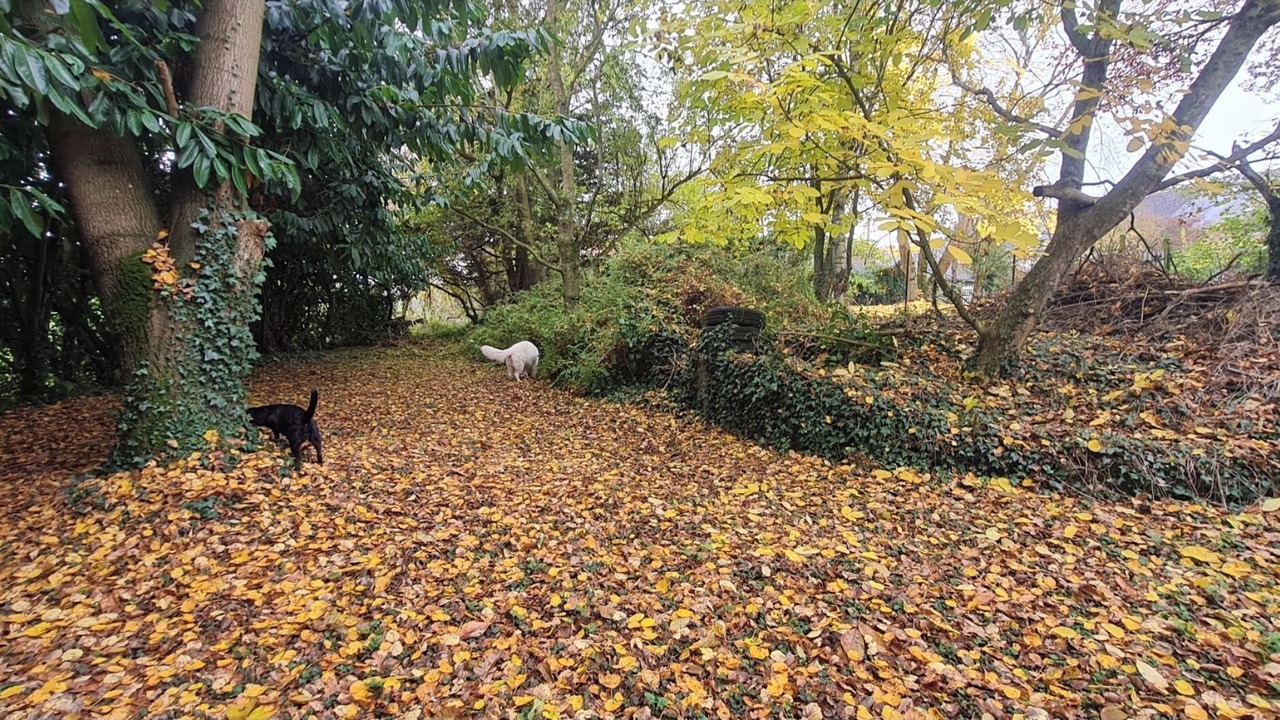 Photo of Outdoor in Servon-sur-Vilaine