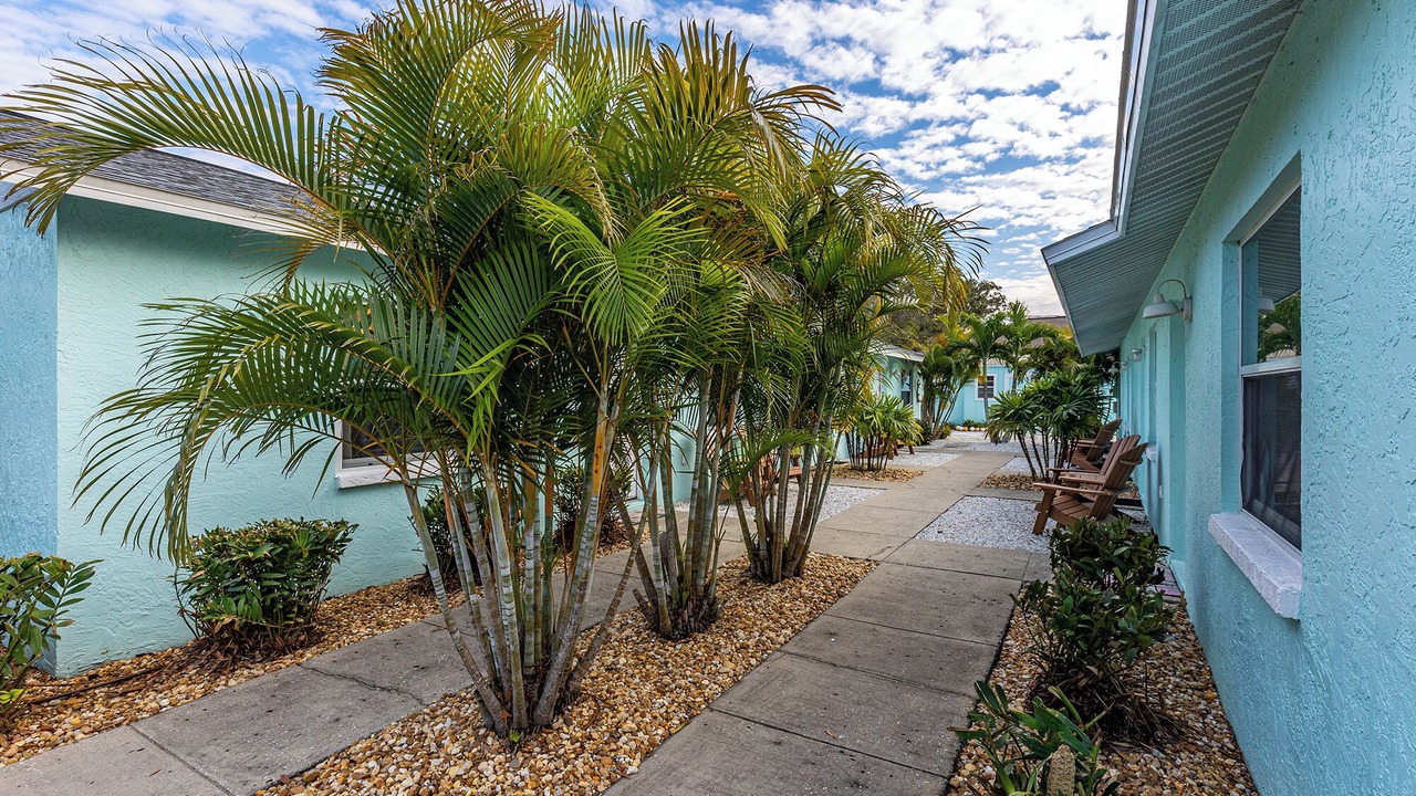 Photo of Outdoor in Tarpon Springs