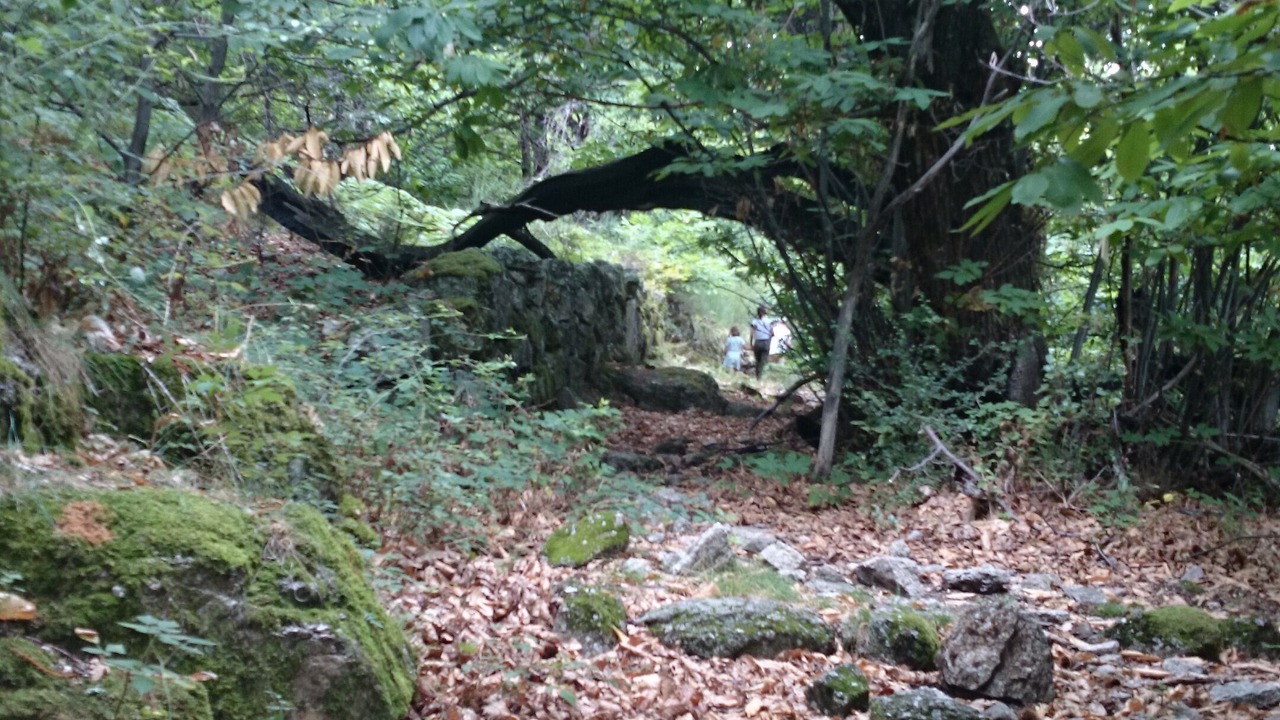 Photo of Others in Sablieres