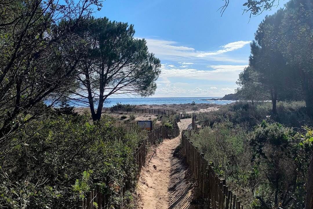 Photo of Others in Pinarellu