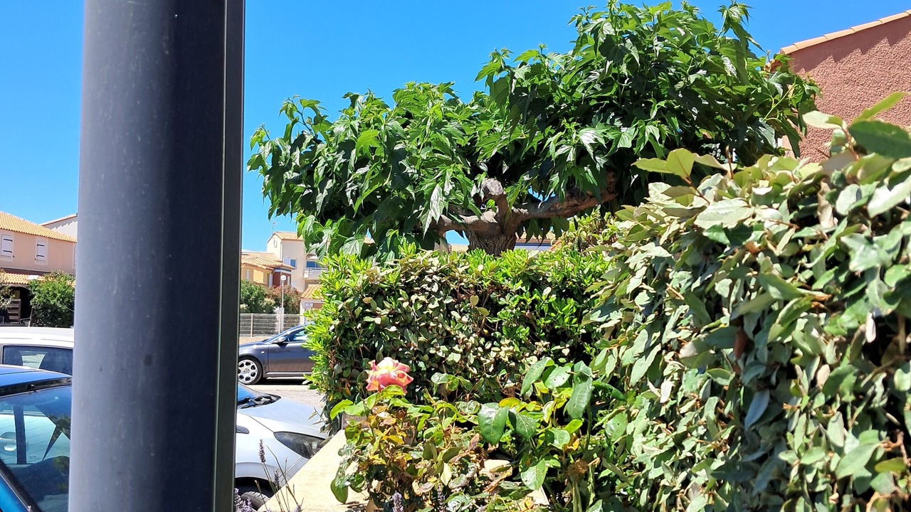 Photo of Outdoor in Frontignan