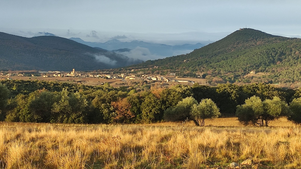 Photo of Others in Tortella