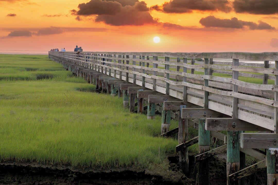 Photo of Others in Yarmouth Port
