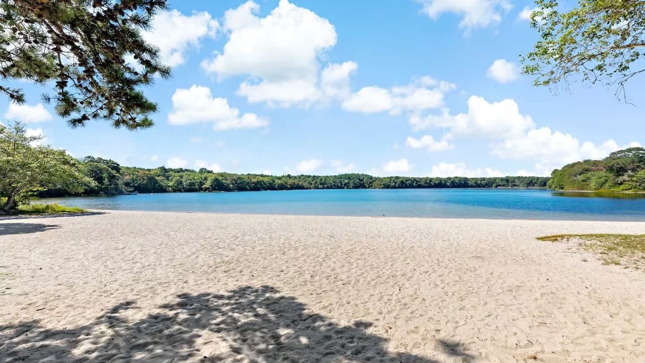 Photo of Others in Yarmouth Port