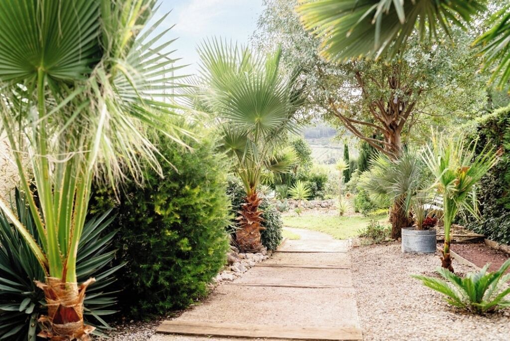 Photo of Outdoor in Cazedarnes