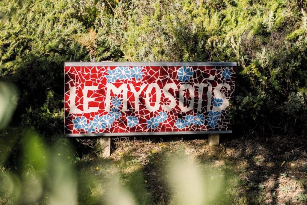 Photo of Others in Siran