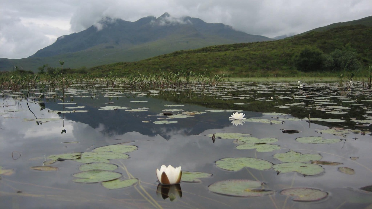 Photo of Others in Sleat