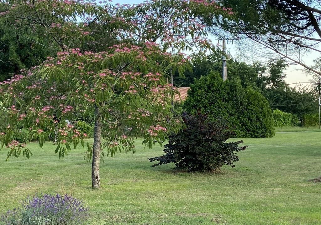Photo of Outdoor in Juignac