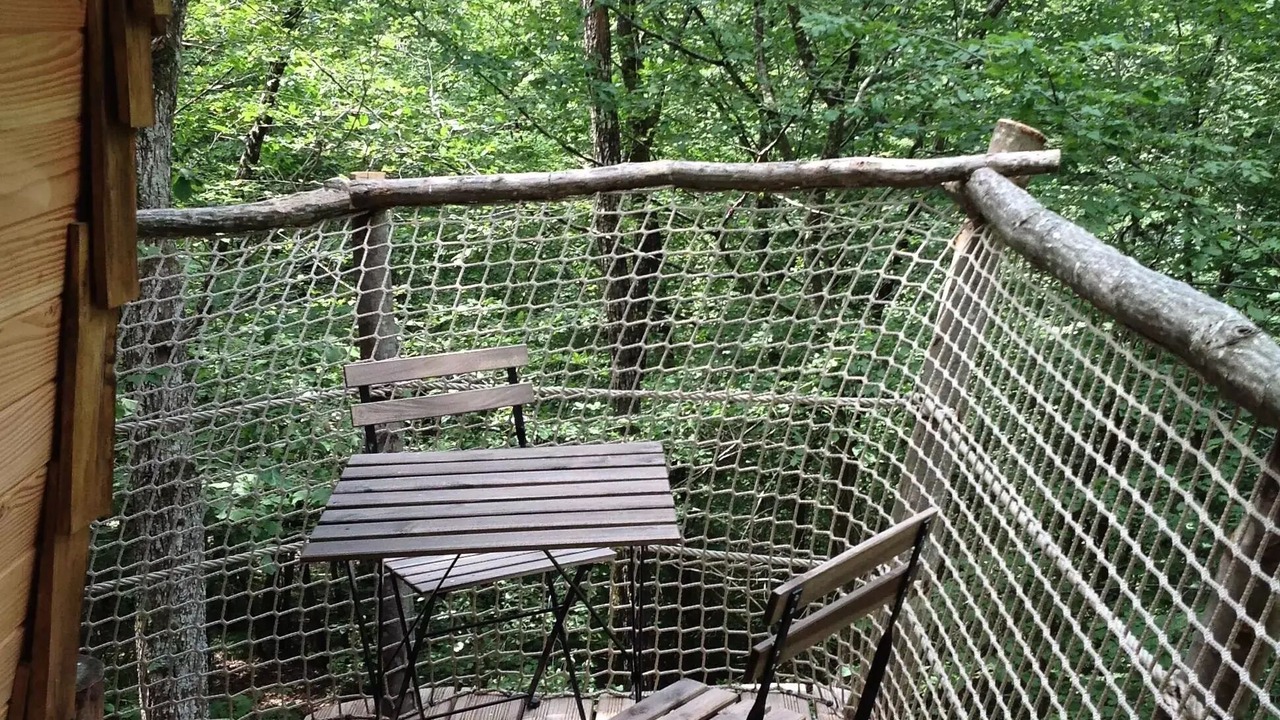 Photo of Outdoor in Chisseaux