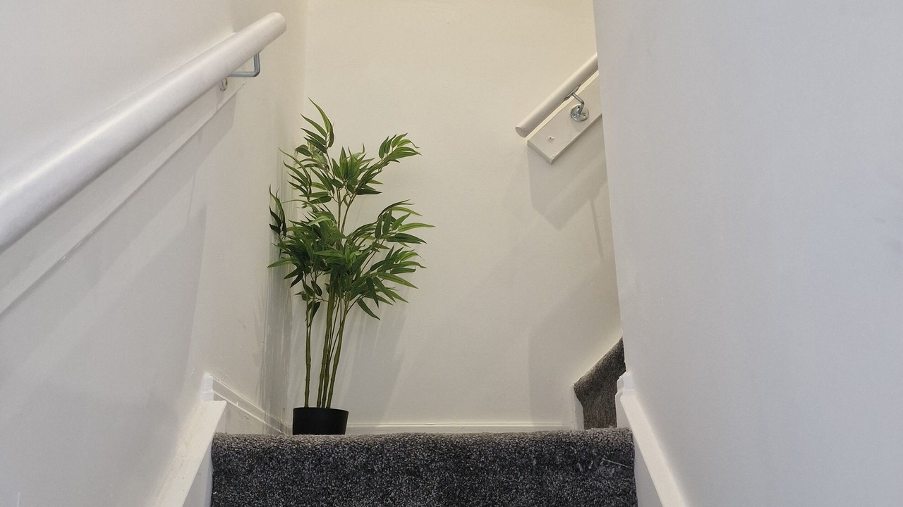 Photo of Others in Burnley