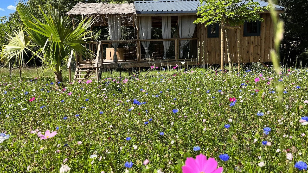 Photo of Outdoor in Chisseaux