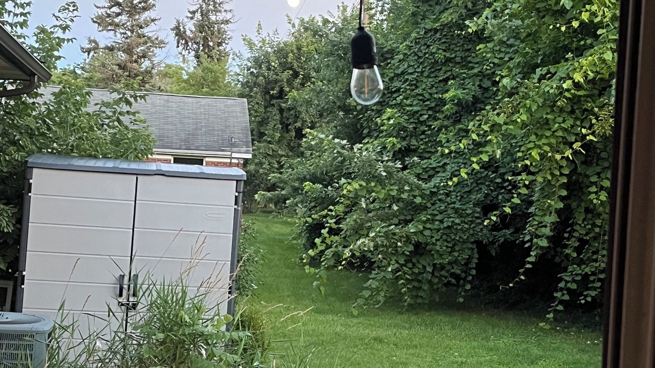 Photo of Outdoor in Clinton Township