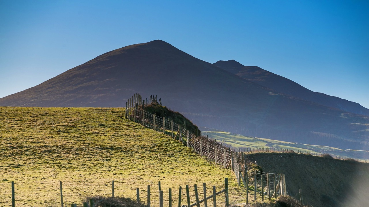 Photo of Others in Dinas