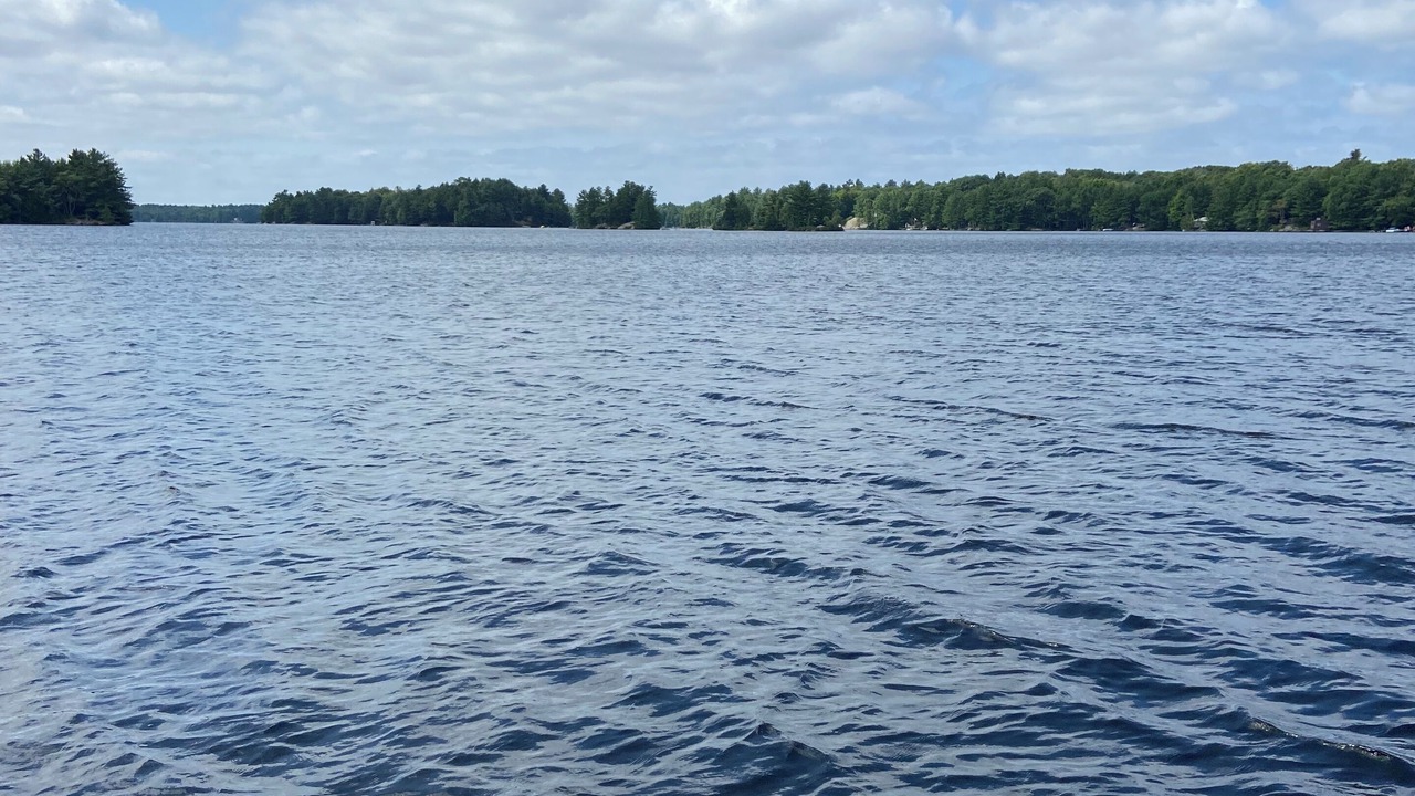 Photo of Outdoor in Broadbent