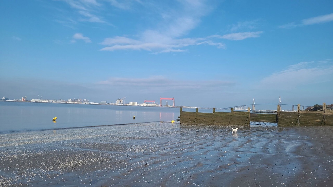 Photo of Others in Saint-Brevin-les-Pins