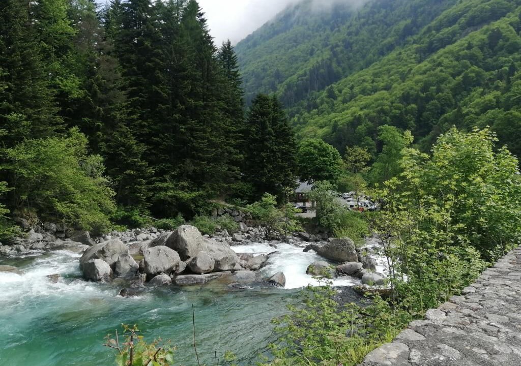 Photo of Others in Barlest