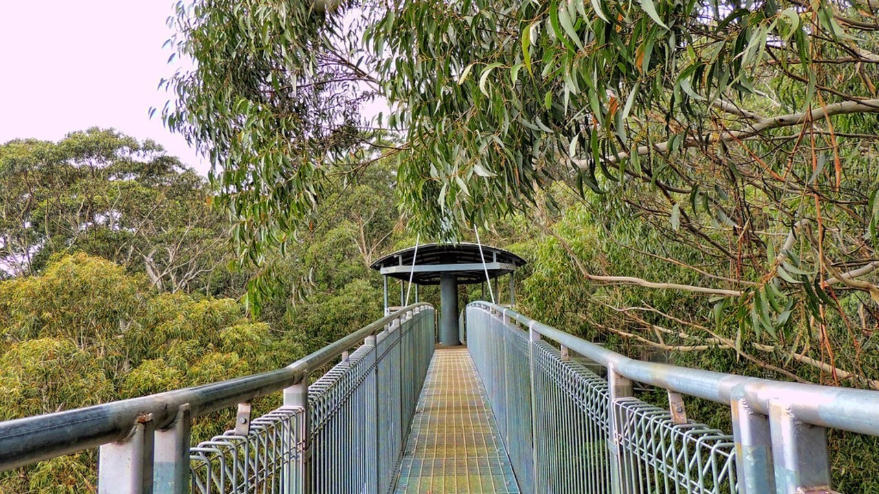 Photo of Others in Jamberoo