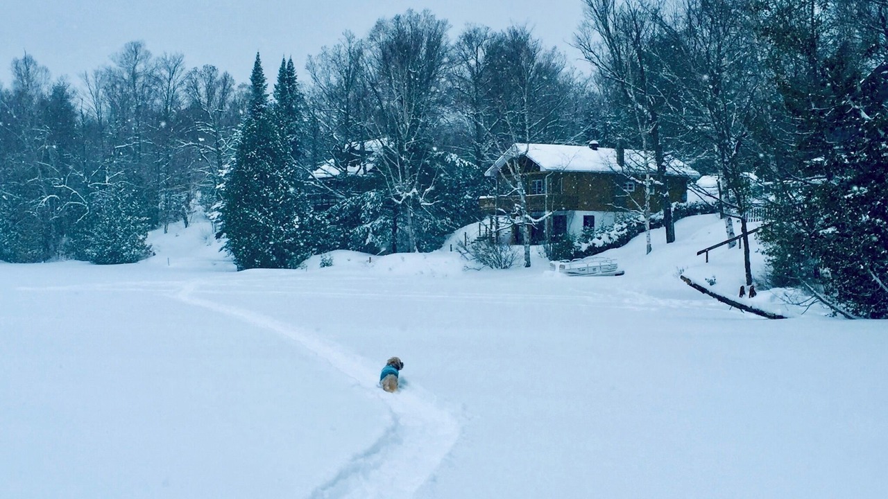 Photo of Others in Pine Hill