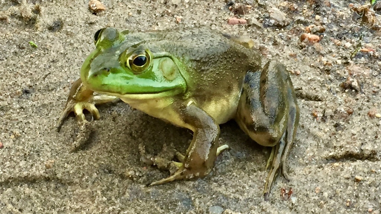 Photo of Others in Pine Hill