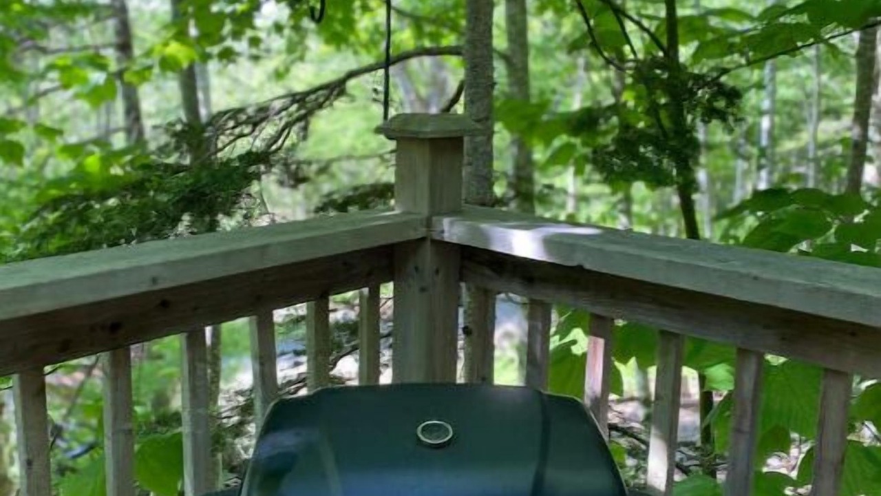 Photo of Outdoor in Englishtown