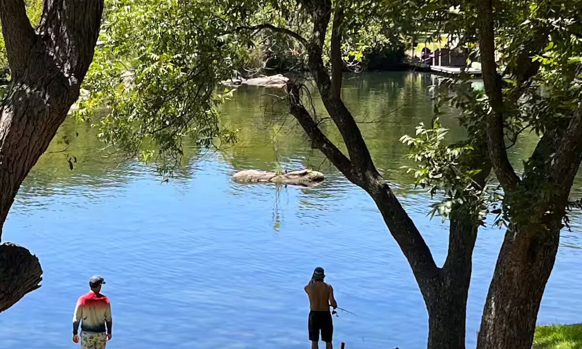Photo of Others in Buchanan Dam