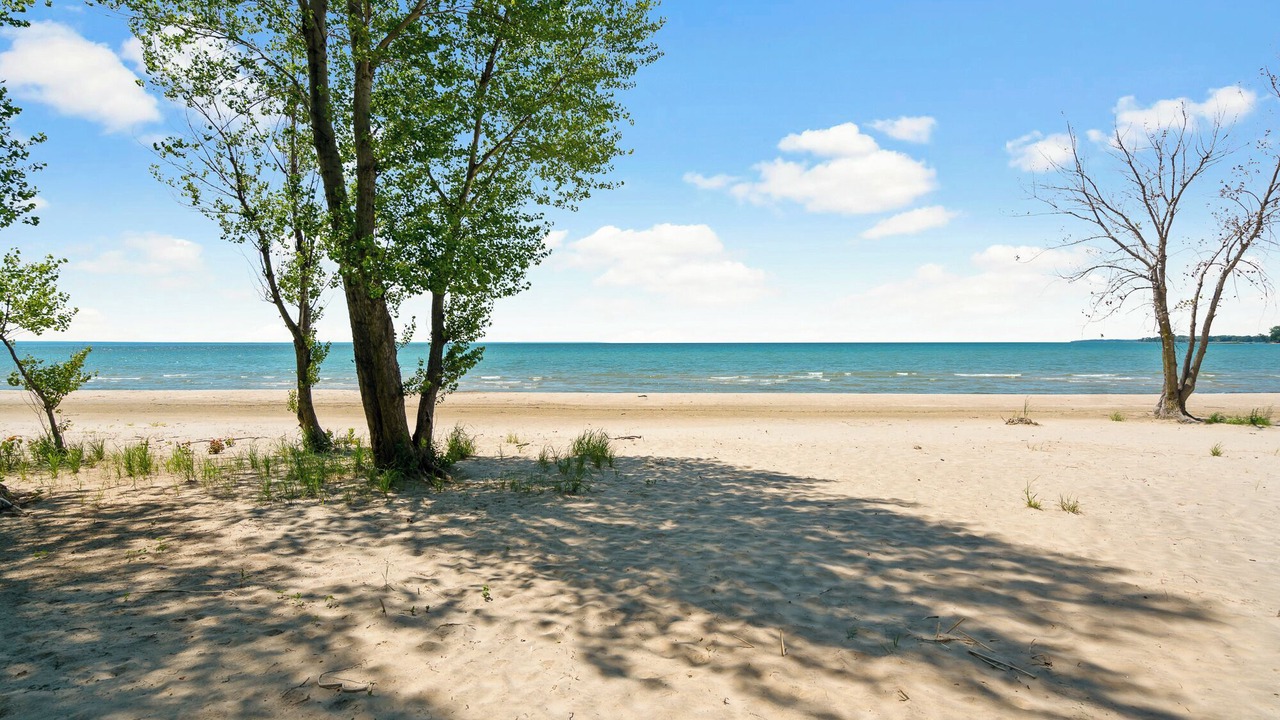 Photo of Others in Fort Erie