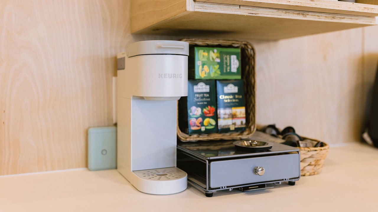 Photo of Others in Head of Jeddore