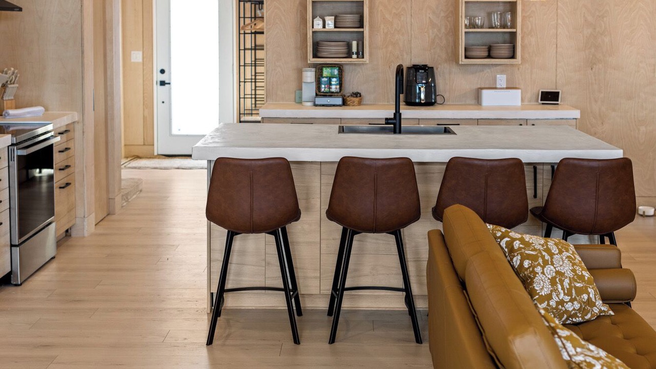 Photo of Others in Head of Jeddore