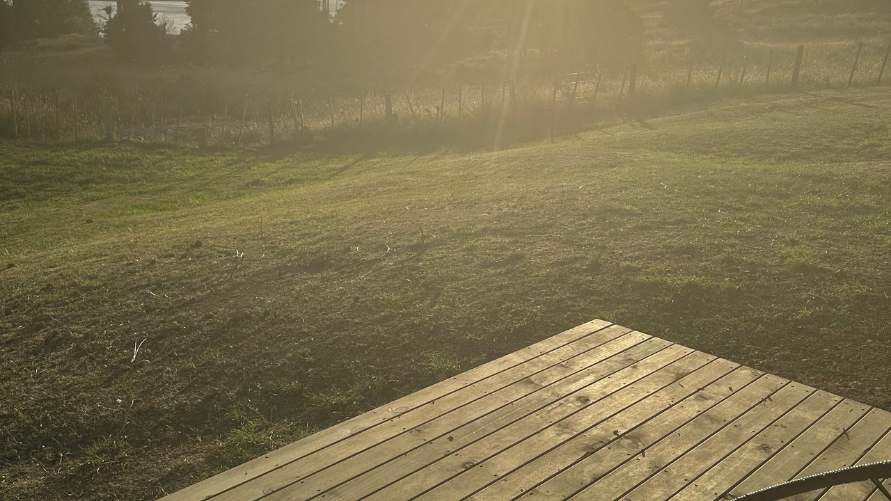 Photo of Outdoor in Whakapirau