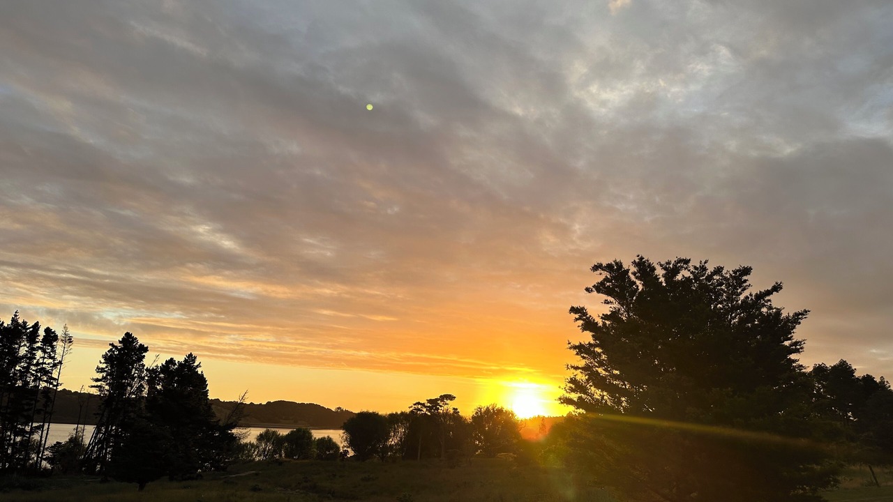 Photo of Others in Whakapirau