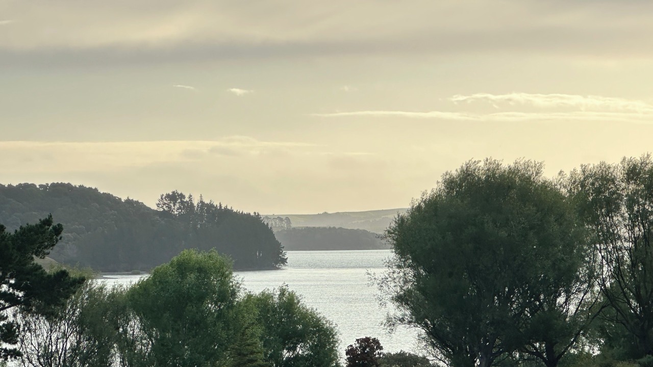 Photo of Others in Whakapirau