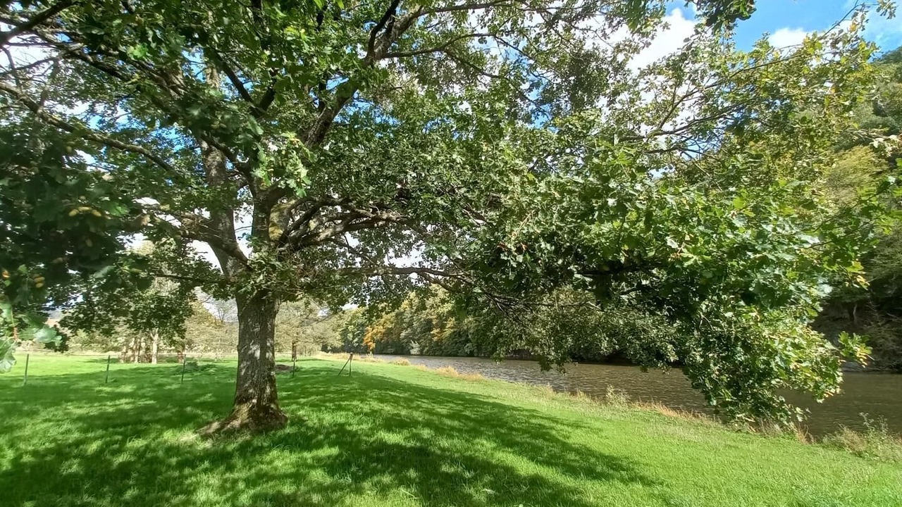 Photo of Others in Thilay