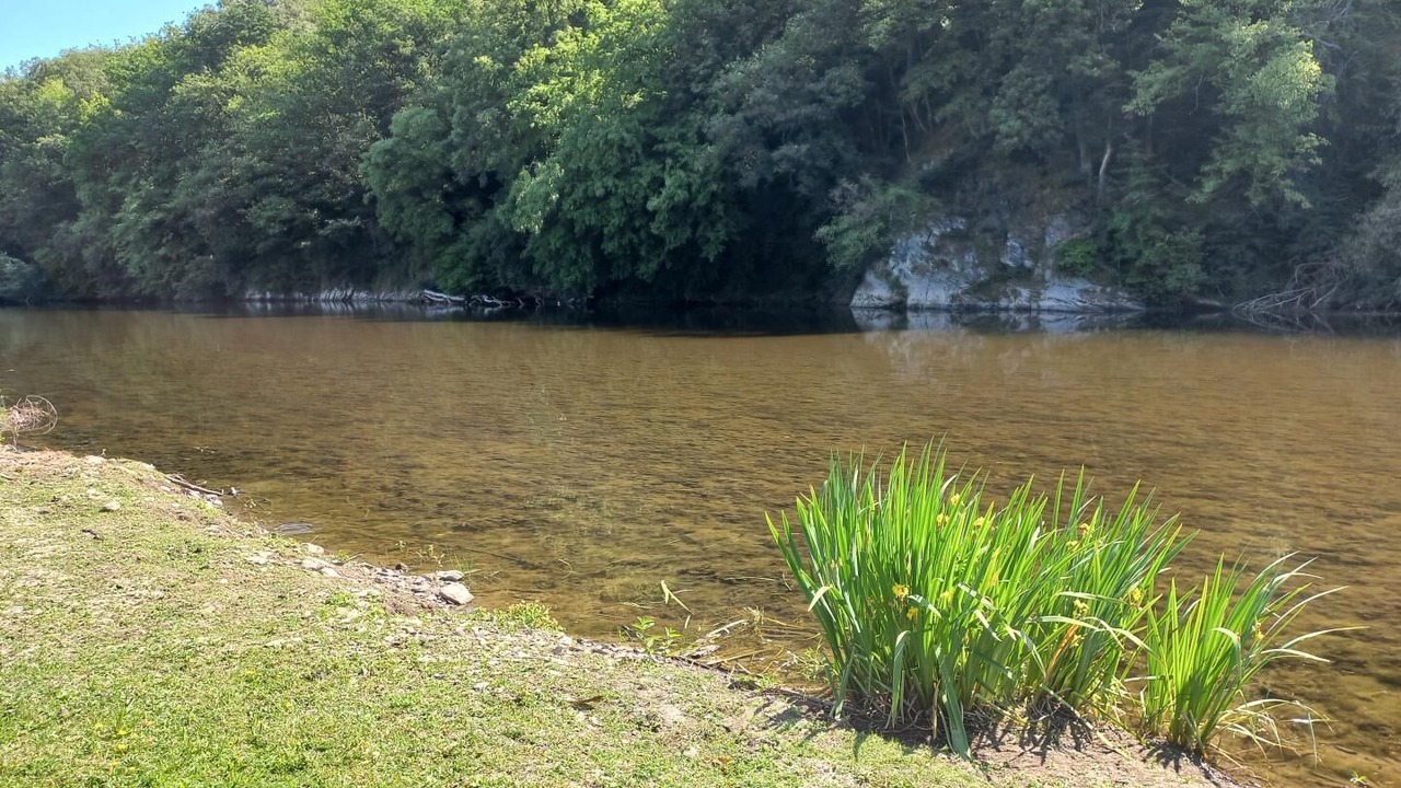 Photo of Others in Thilay