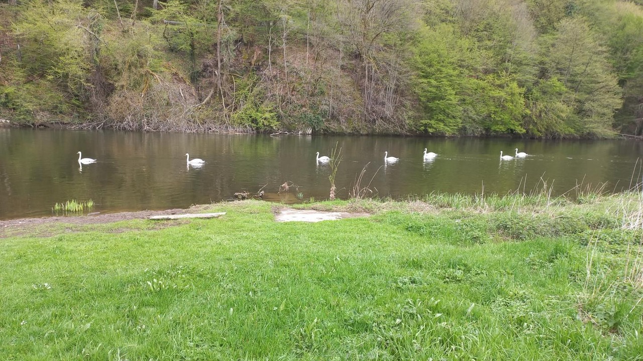 Photo of Others in Thilay