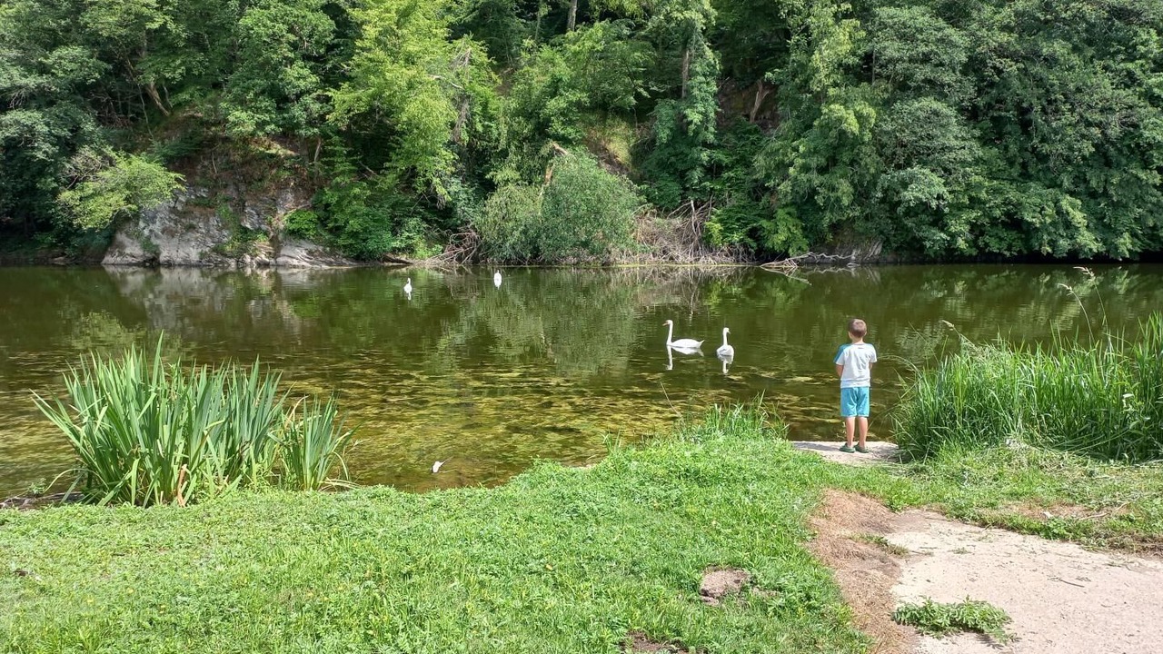 Photo of Others in Thilay