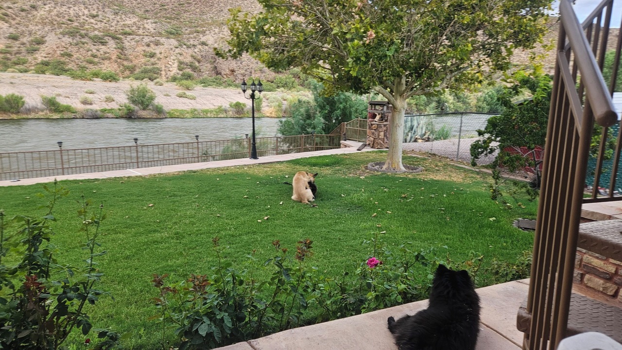 Photo of Outdoor in Truth or Consequences