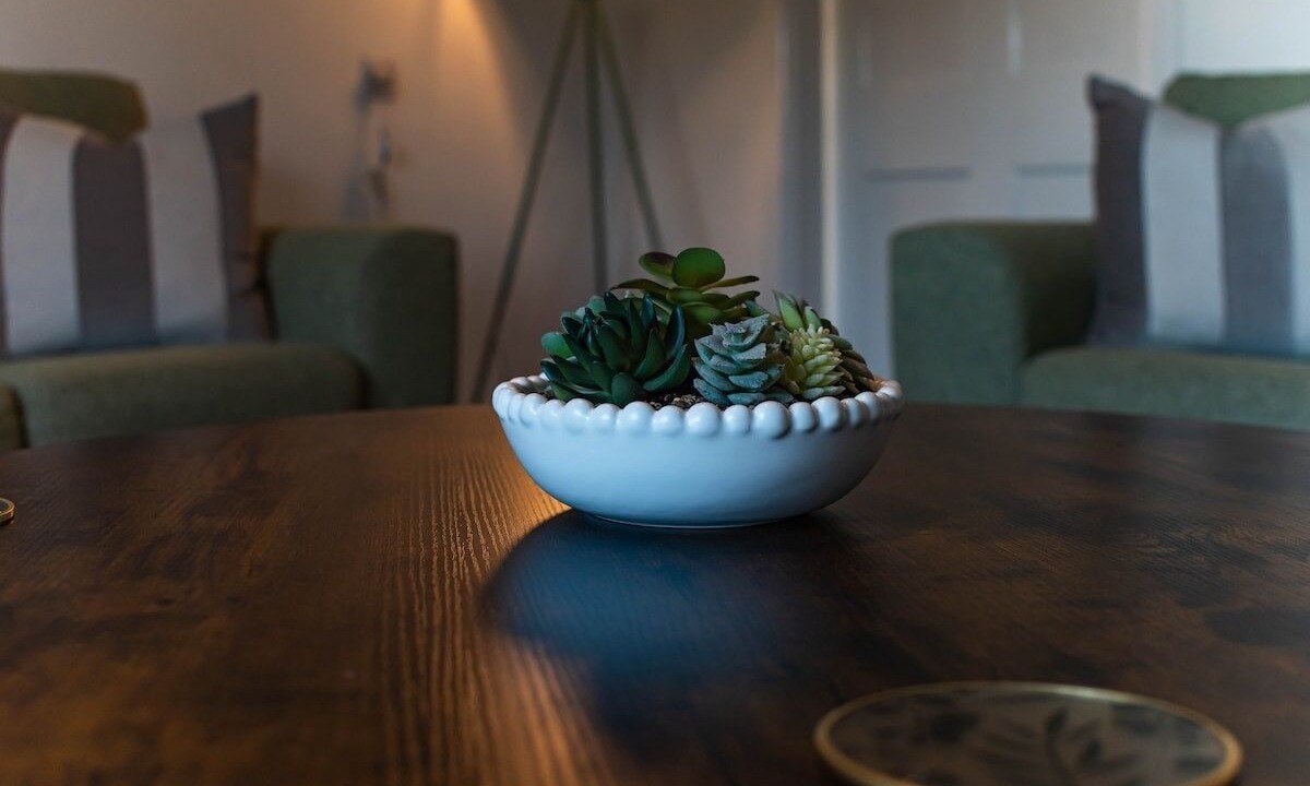 Photo of Others in Thurso