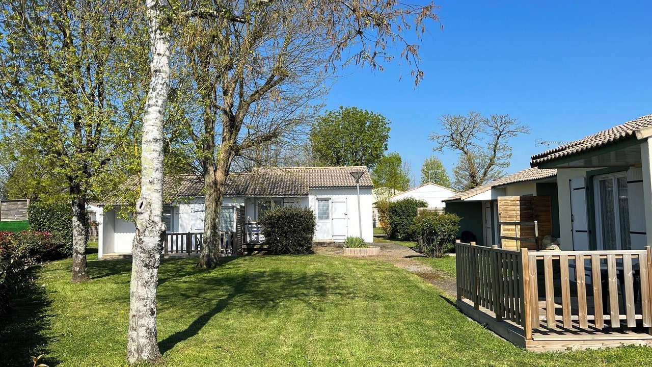Photo of Outdoor in Mache