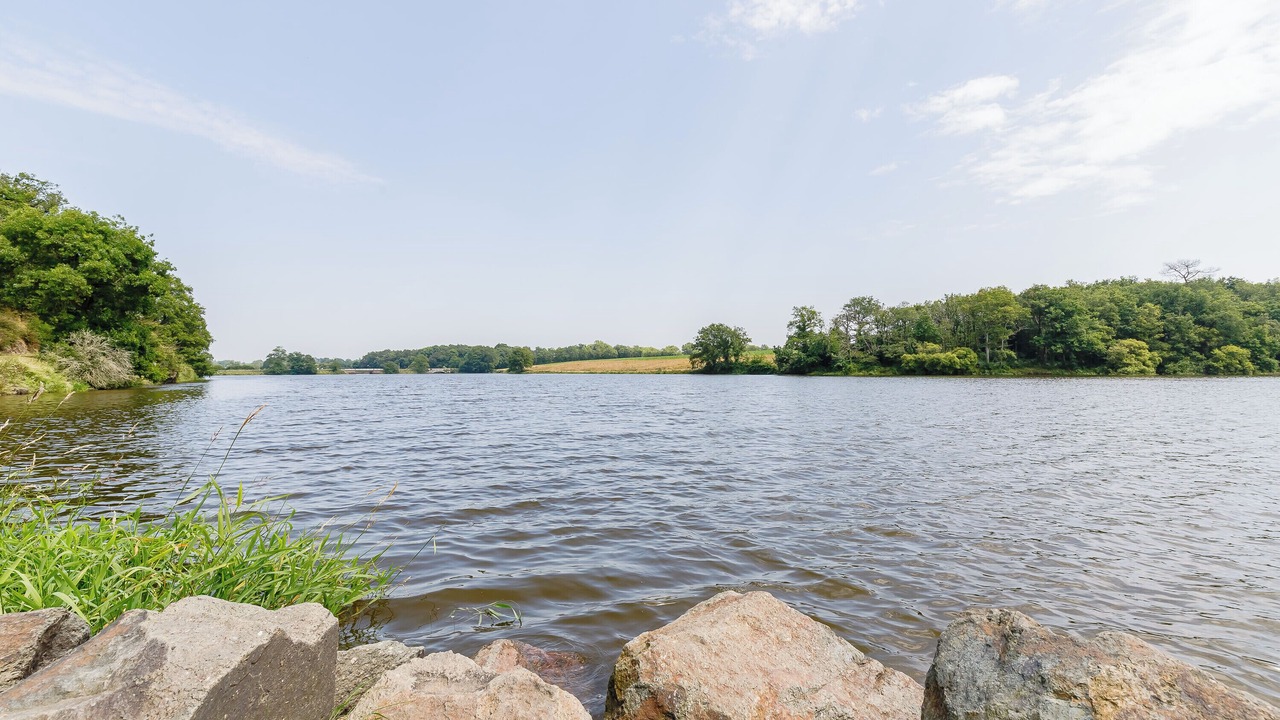 Photo of Others in Mache